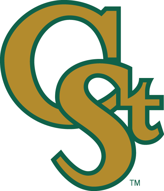 Colorado State Rams 1993-2015 Secondary Logo iron on transfers for clothing